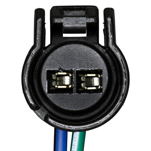 A/C Compressor Switch Connector WVE 1P1013