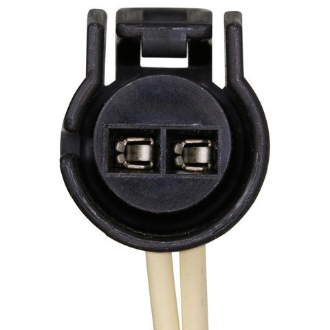 A/C Compressor Switch Connector WVE 1P1014