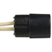 A/C Compressor Switch Connector WVE 1P1014