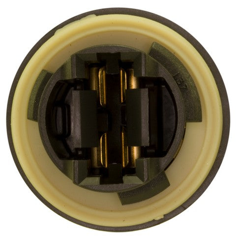 Turn Signal Light Socket WVE 1P1526