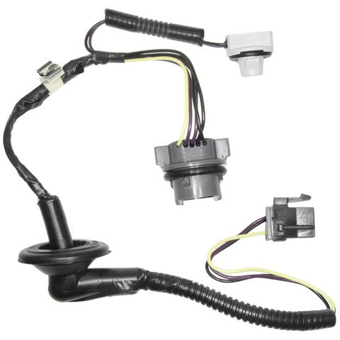 Tail Light Wiring Harness WVE 1P2180