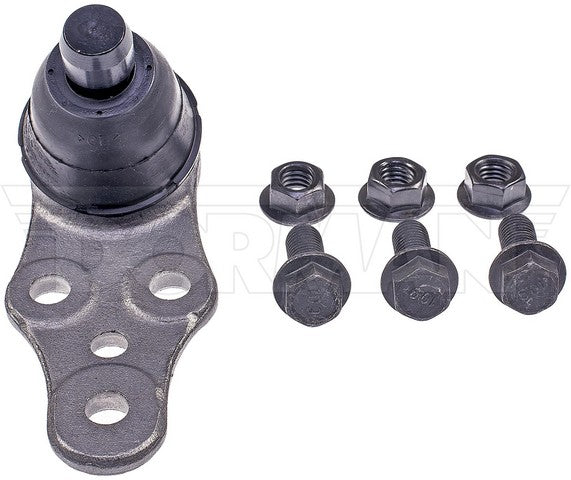 Suspension Ball Joint Dorman Premium Chassis BJ55025XL