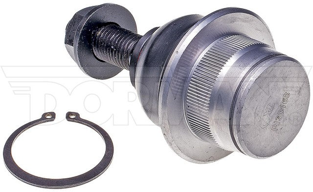 Suspension Ball Joint Dorman Premium Chassis BJ85225XL