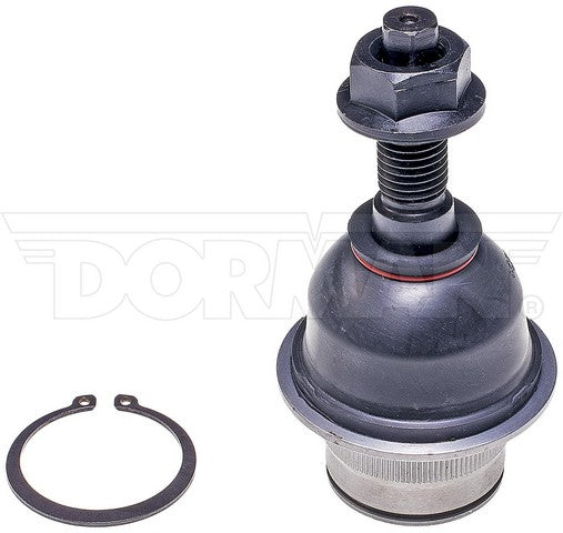 Suspension Ball Joint Dorman Premium Chassis BJ85225XL