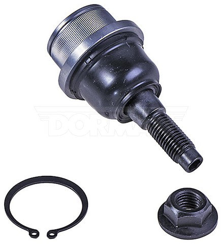 Suspension Ball Joint Dorman Premium Chassis BJ92165XL