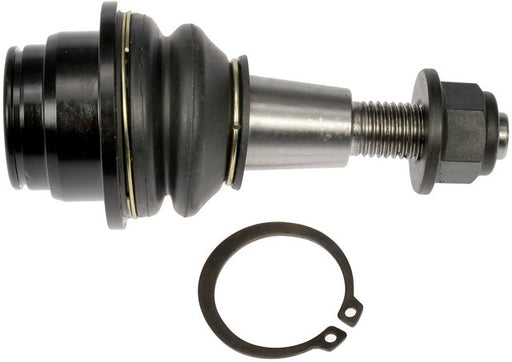 Suspension Ball Joint Dorman Premium Chassis BJ92465PR