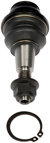 Suspension Ball Joint Dorman Premium Chassis BJ92465PR